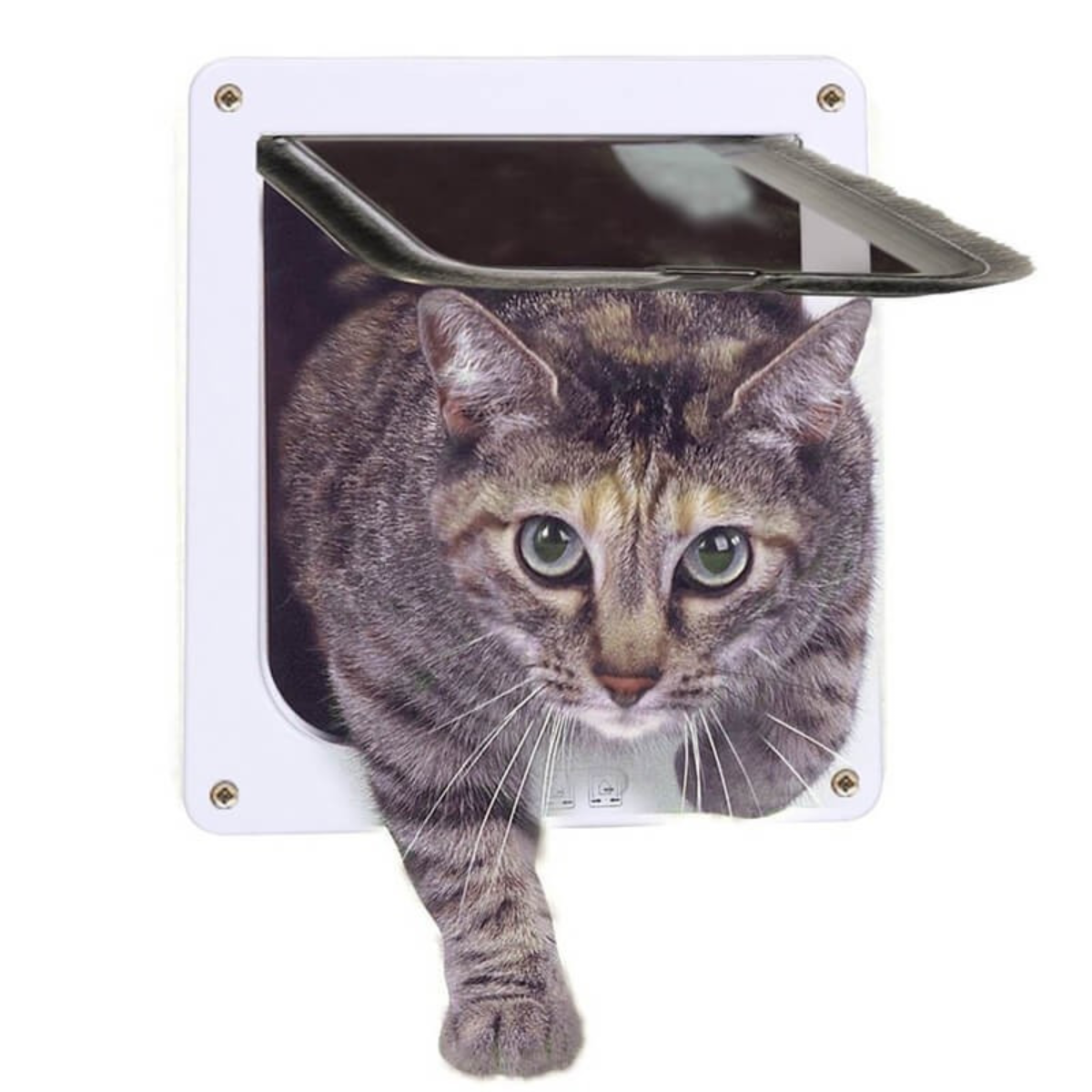 Puerta Abatible Gatos Mascotas Puerta perro pequeño Seguridad Gatera