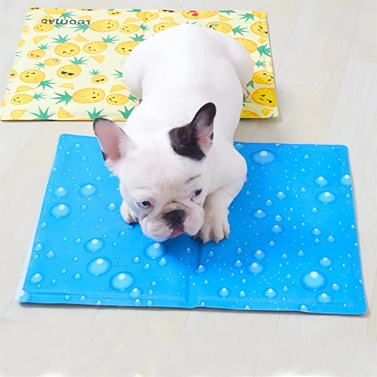 Manta Refrescante Para Perros 90x50 Cm Talla L Colchon Perro