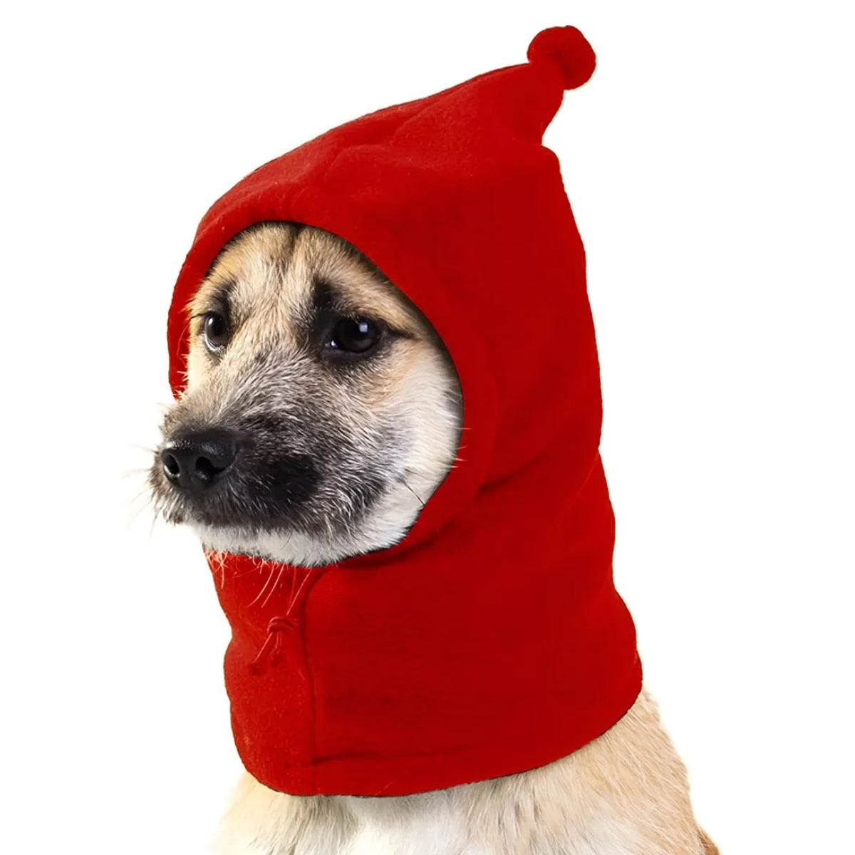 Gorro Calentador Orejas Cuello Para Perros Mascotas Invierno