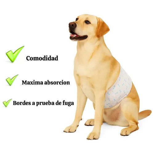 12 Pañales Para Perros Mascotas Pañal Desechable Perro