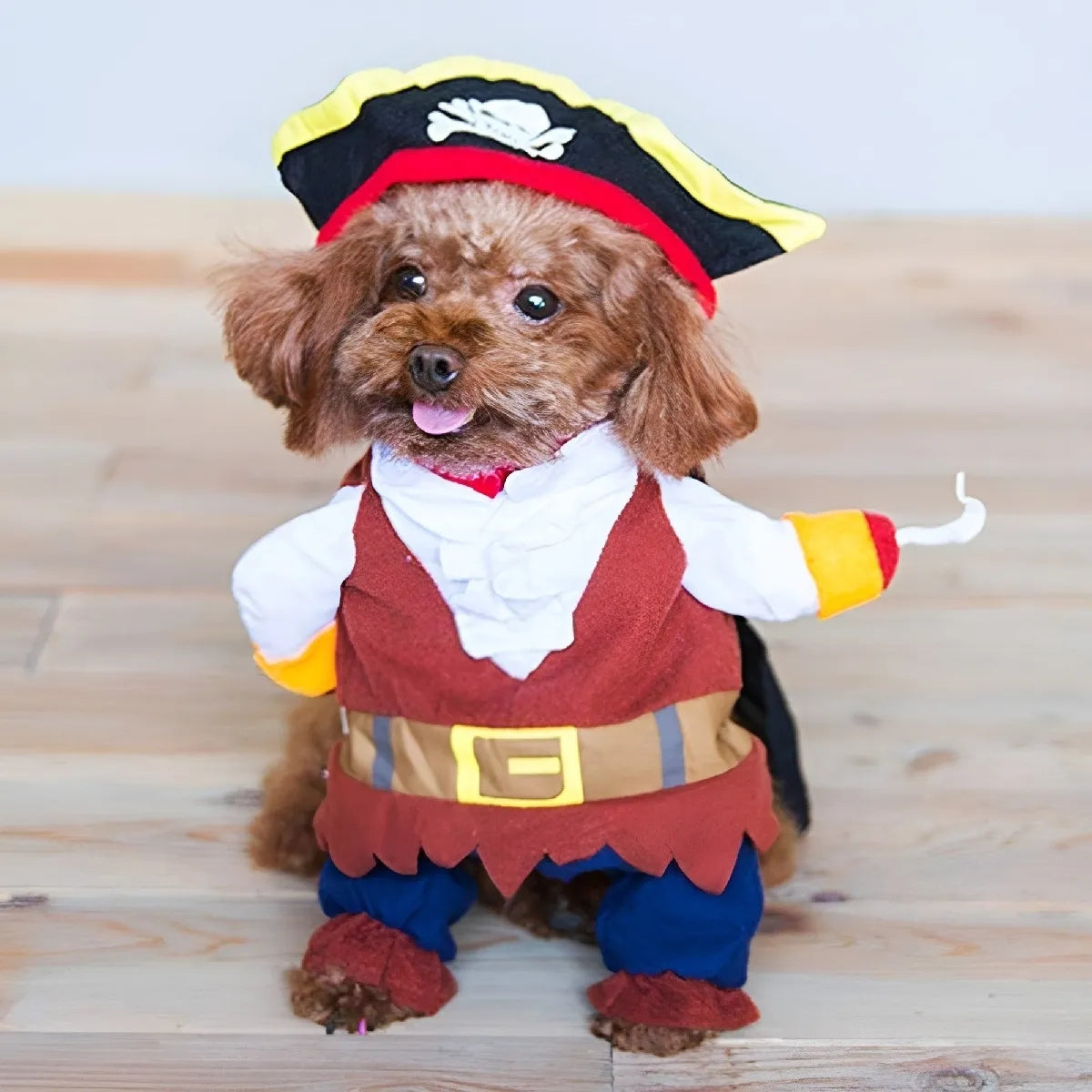 Disfraz Gato Halloween Disfraz Pirata Perro Mascotas Disfrac