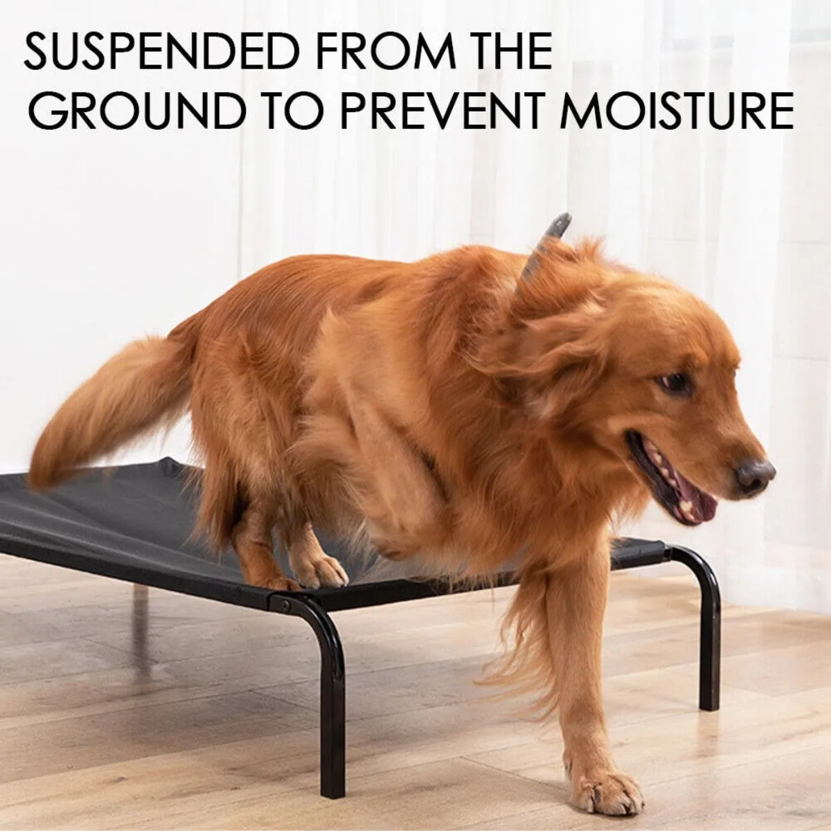 Cama Antiestres Perro Para Tus Mascotas Perros Mediano Elevada L