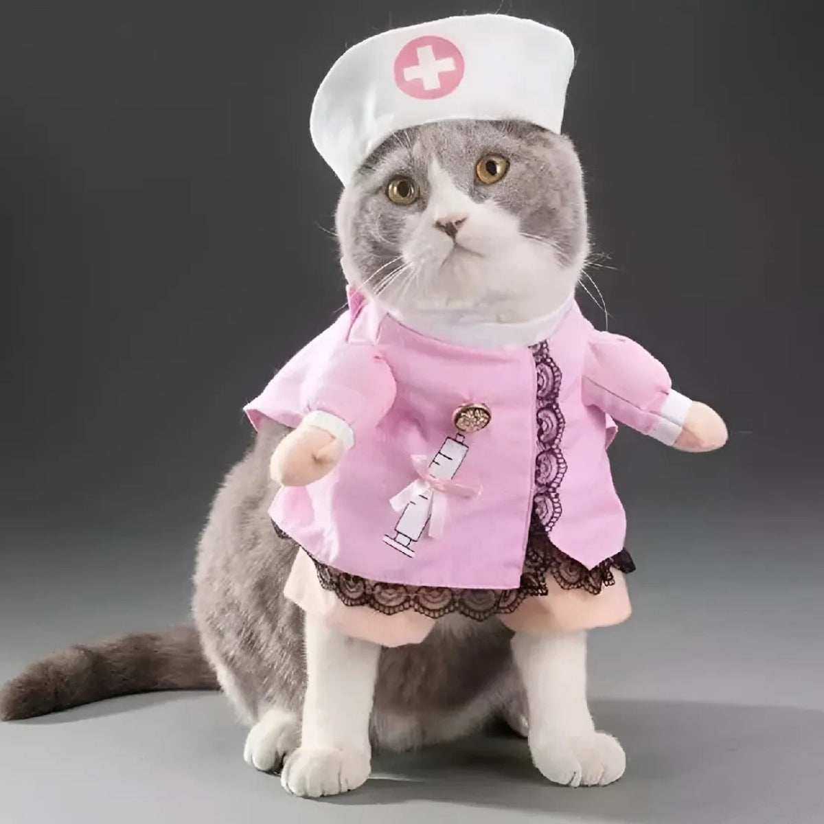 Disfraz Perro Halloween Enfermera Disfraces Gato Mascotas