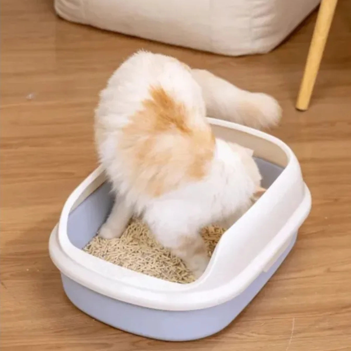 Arena Sanitaria Para Gatos De Tofu Arena Biodegradable 2kg