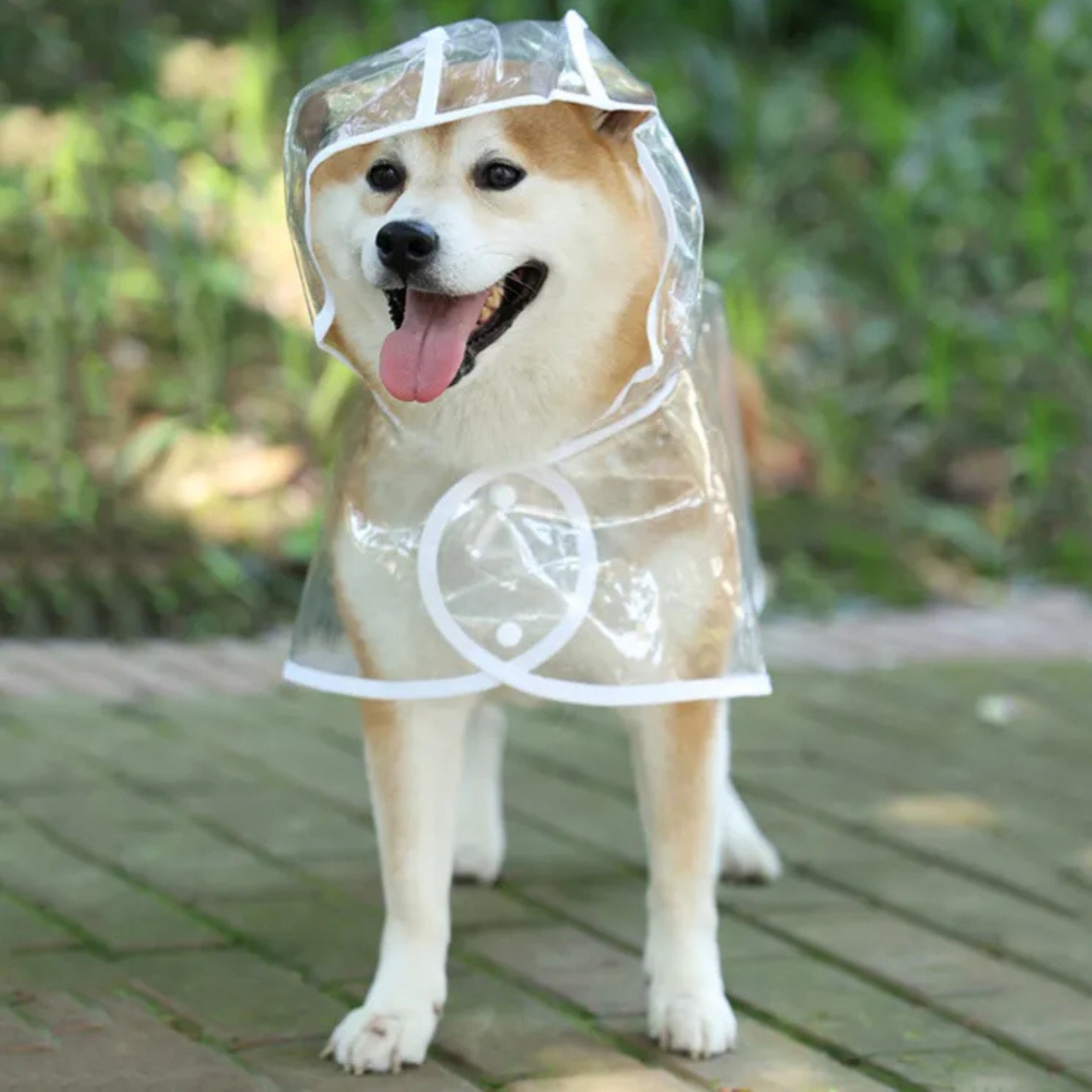 Capa De Lluvia Impermeable Transparente Para Perros Mascotas