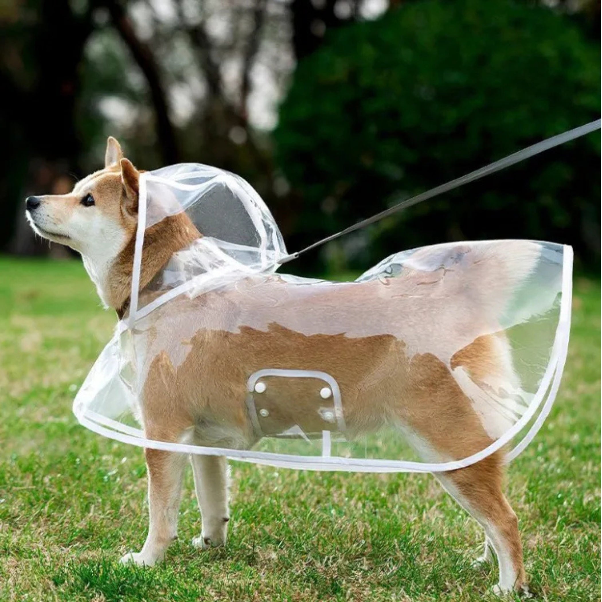 Capa De Lluvia Impermeable Transparente Para Perros Mascotas