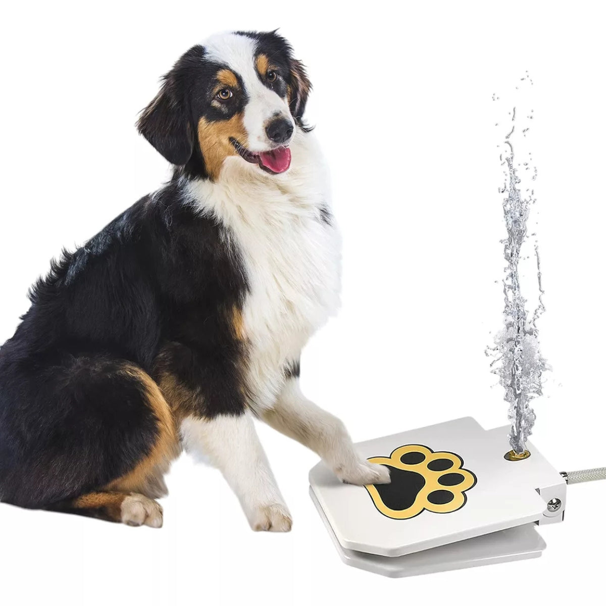 Bebedero Fuente Automática Para Perros Con Pedal Antideslizante Conexión Manguera Exterior Jardín Mascotas