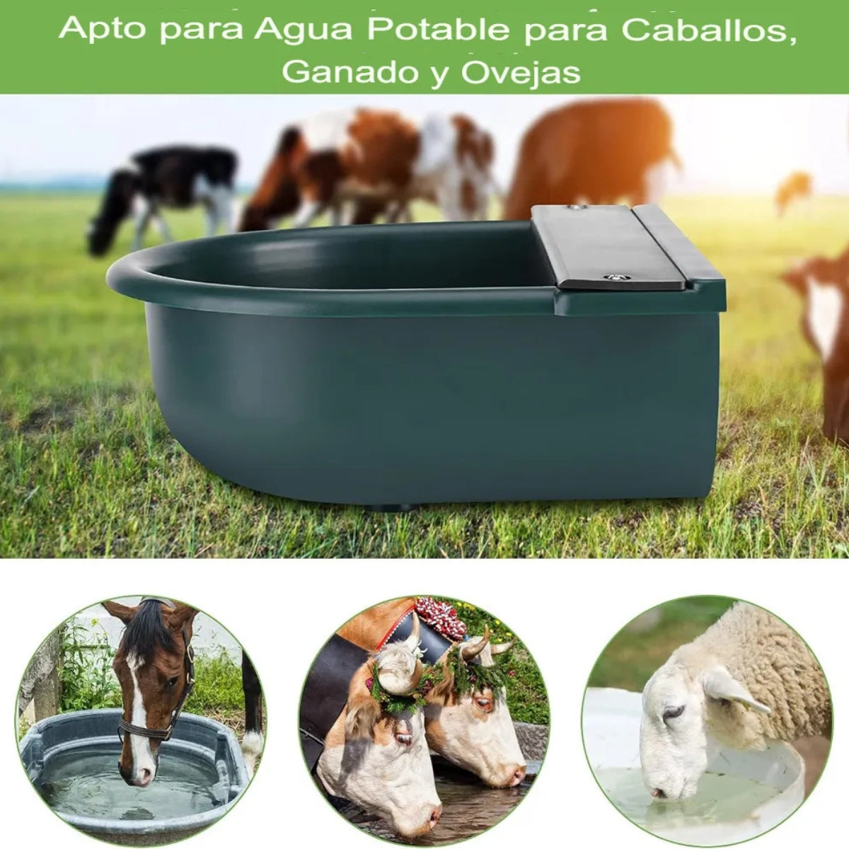 Bebedero Automatico Para Caballos Ovejas Vacas Cuenco Grande