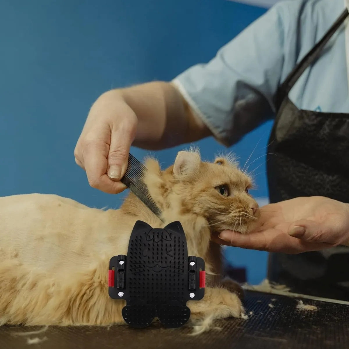 Rascador Para Gatos Mascotas Juguete Divertido Antiestres Rascadores