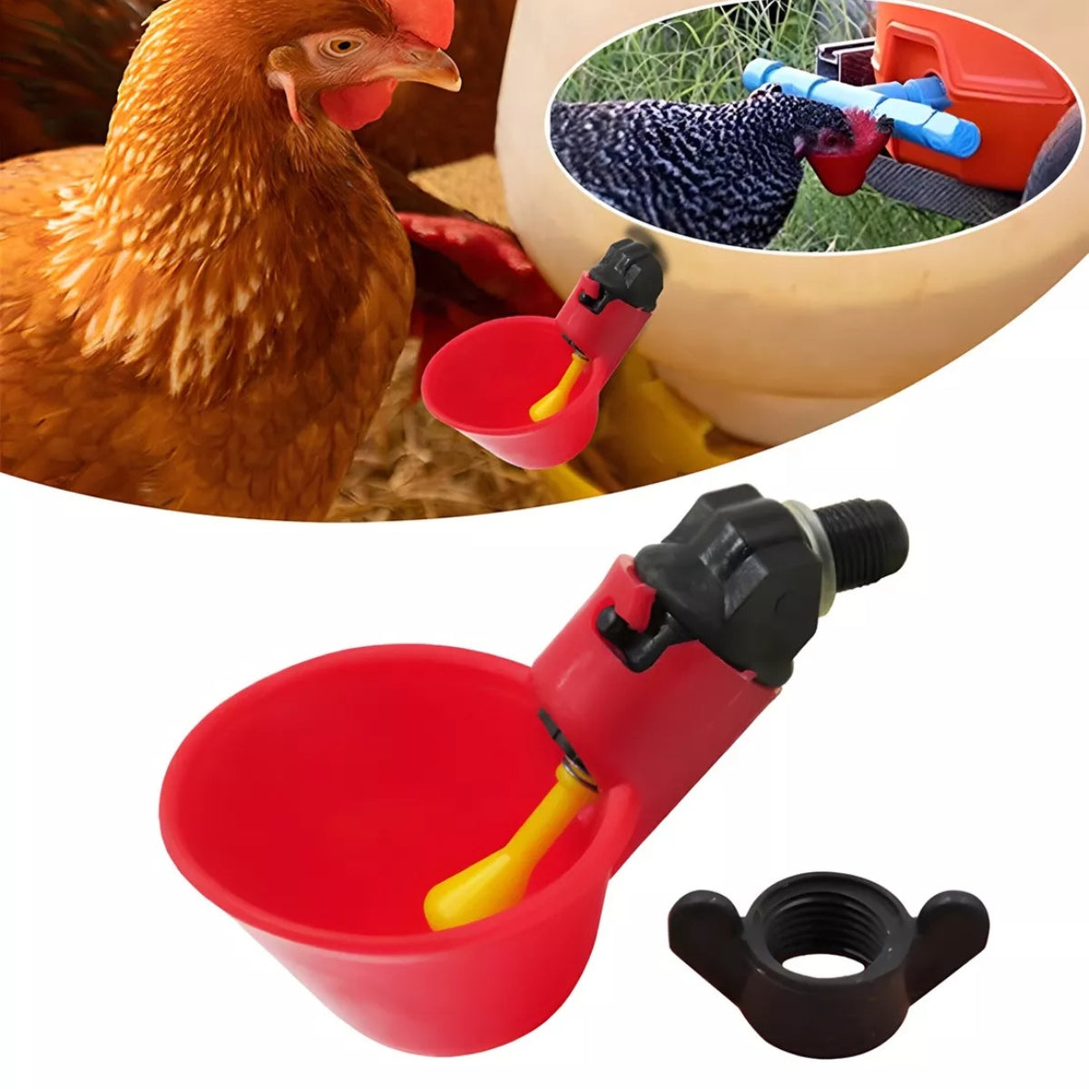 Bebedero Automático Aves Gallinas Pájaros Bebederos Pollos