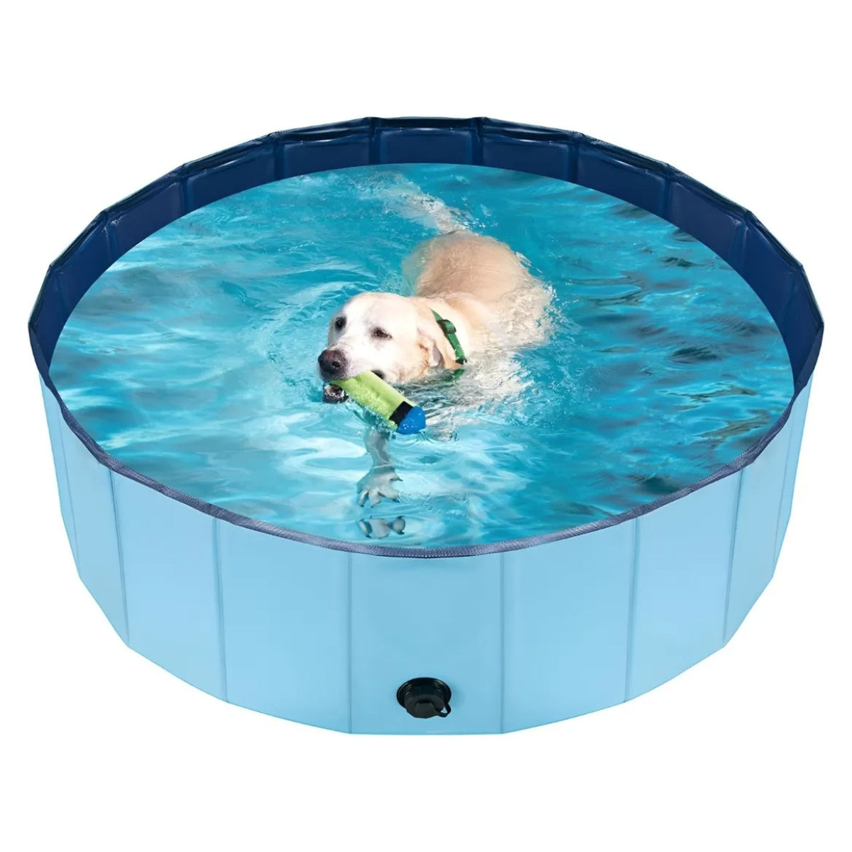 Piscina Perros Plegable Verano Piscina Para Mascotas 160x30