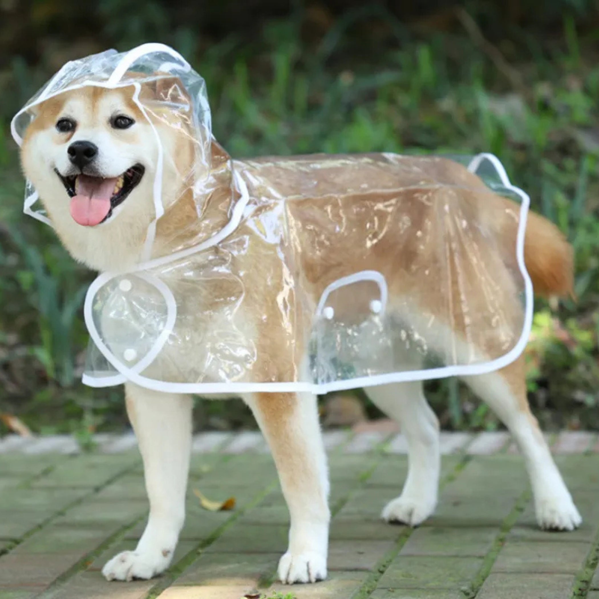 Capa De Lluvia Impermeable Transparente Para Perros Mascotas