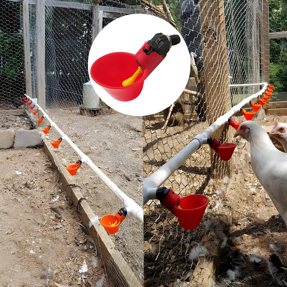 24 Bebedero Pollos Pajaros Gallinas Bebedero Automatico Aves