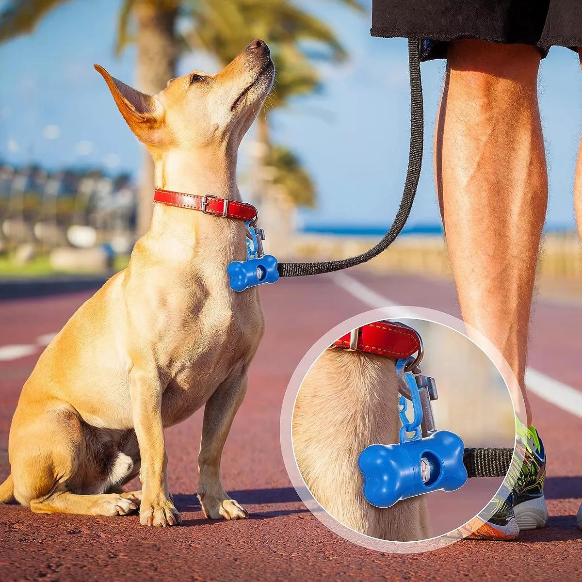 Dispensador De Bolsas Perros Bolsas Mascotas + 2rollos Bolsa