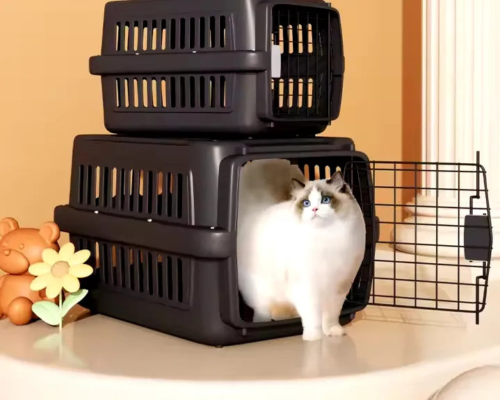 Caja Transportador Perro Canil Jaula Transporte Mascota Gato