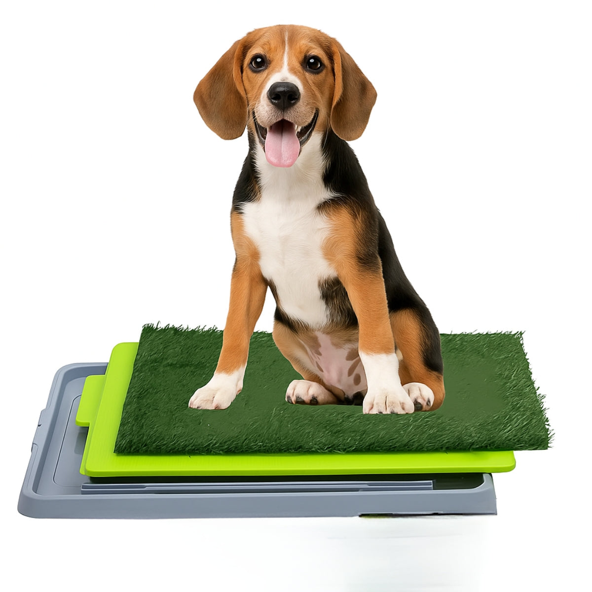 Baño Ecologico Sanitario Sabanillas Perro Mascotas Baño Xxl