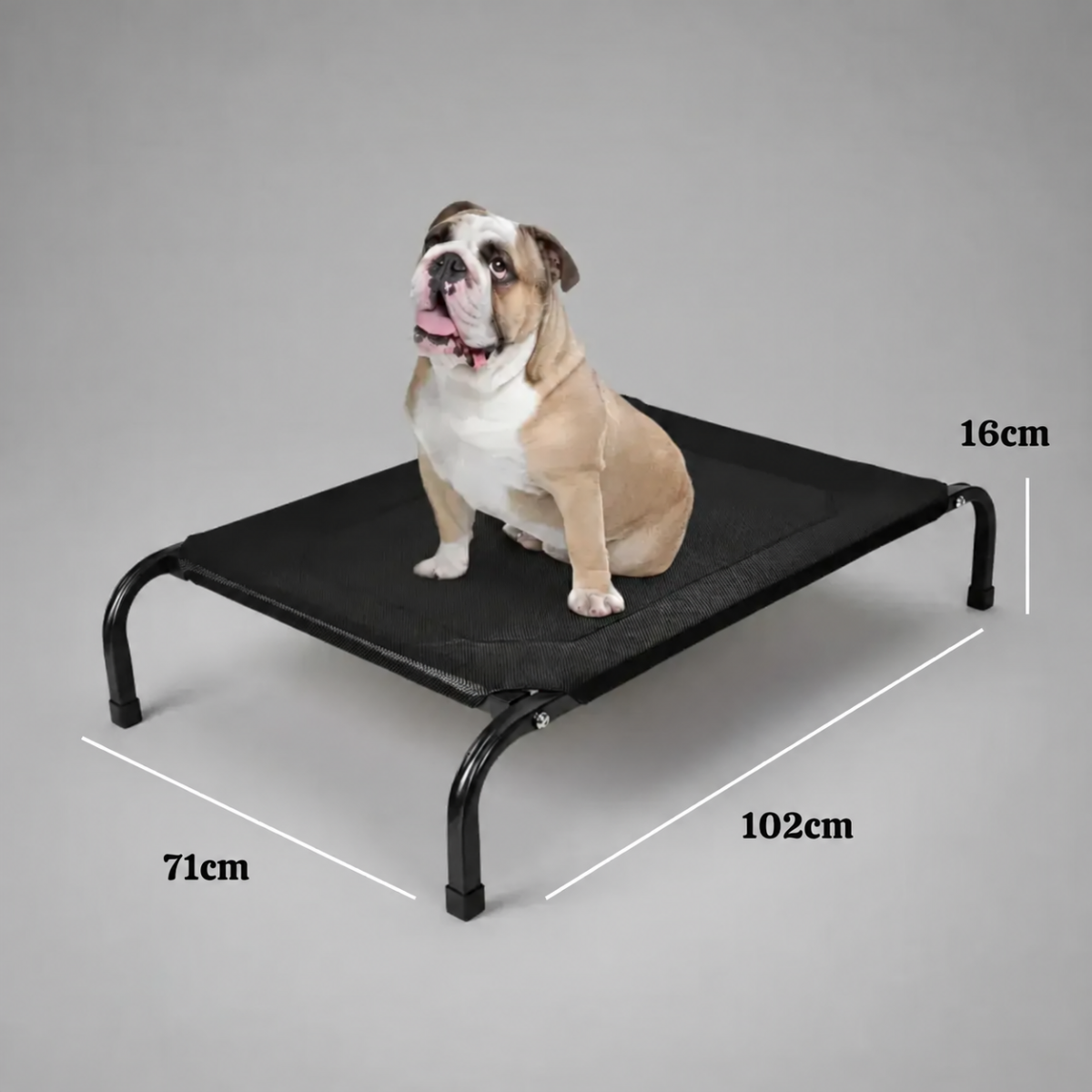 Cama Antiestres Perro Para Tus Mascotas Perros Mediano Elevada L